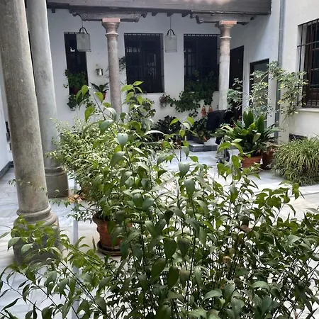 Embrujo Apartment Granada Exterior photo